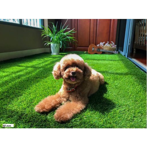 Műfű 50 mm Soft PX2