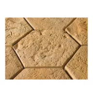  Fabro- Cotto Hexa Homok térburkoló 19,5x19,5x2,5cm (600587)