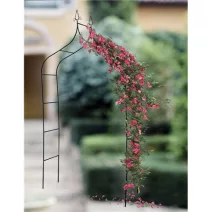 Kert szezonkezdő akció