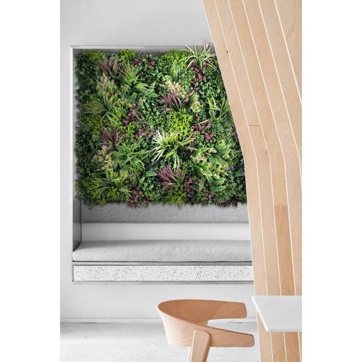 Műnövény fali 50x50 cm, THALLO-B