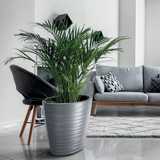 Ovális kaspó alacsony antracit (DBMZE600/S433)