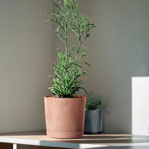 Kaspó TUBO P BETON EFFECT 39cm, terracotta (DPOP400E/R624)