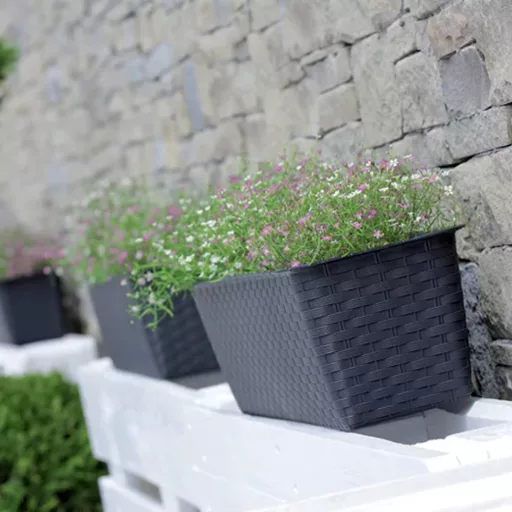 Rattan hatású műanyag peremes balkonláda antracit (ISR400P/S433)