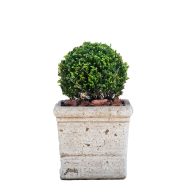 Jován Budapest Váza 46x46 barna