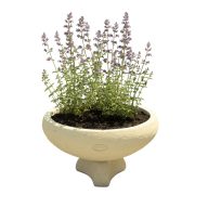 Jován Innova virágtál alátéttel, bézs 