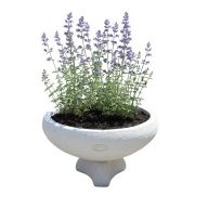 Jován Innova virágtál alátéttel, fehér