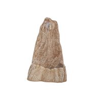 Jován Szikla Kút Barna