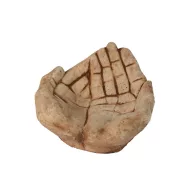 Jován Kéz Madáritató Barna (JOVM14/Barna)